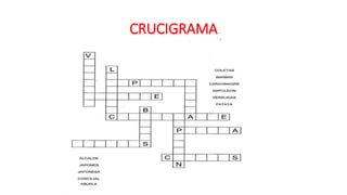 CRUCIGRAMA
 