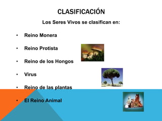 CLASIFICACIÓN 
Los Seres Vivos se clasifican en: 
• Reino Monera 
• Reino Protista 
• Reino de los Hongos 
• Virus 
• Reino de las plantas 
• El Reino Animal 
