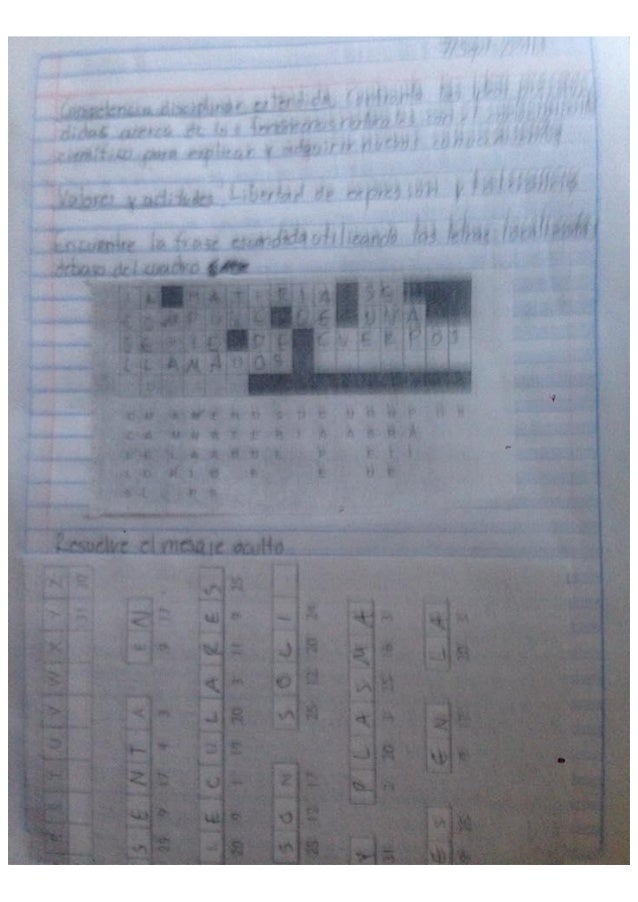 Actividades