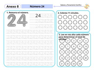 Cuadernillo Educativo: Letra T y Números 21-24 para Niños | PPTX