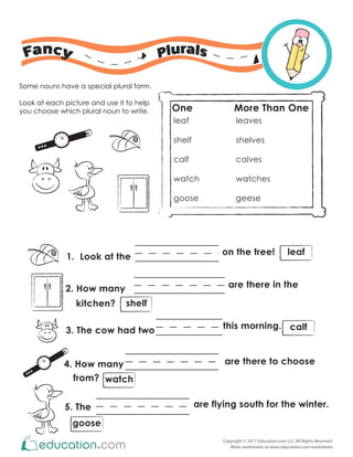 Copyright © 2017 Education.com LLC All Rights Reserved
More worksheets at www.education.com/worksheets
Some nouns have a special plural form.
Look at each picture and use it to help
you choose which plural noun to write.
1212
6
3
9
1
2
4
5
7
8
10
11
One More Than One
leaf leaves
shelf shelves
calf calves
watch watches
goose geese
1. Look at the
on the tree!
2. How many
kitchen?
from?
are there in the
3. The cow had two this morning.
4. How many are there to choose
5. The are flying south for the winter.
12
12
6
3
9
1
2
4
5
7
8
10
11
leaf
watch
shelf
calf
goose