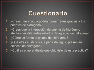 1. ¿Crees que el agua podría formar redes gracias a los
puentes de hidrógeno?
2. ¿Crees que la interacción de puente de hidrógeno
afecta a los diferentes estados de agregación del agua?
3. ¿Cómo se forma el enlace de hidrógeno?
4. ¿Qué otras sustancias, a parte del agua, presentan
enlaces de hidrógeno?
5. ¿Cuál es el aprendizaje que obtuviste de esta práctica?
 