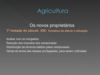 Os novos proprietários  1ª metade do século  XIX:  Tentativa de alterar a situação  Acabar com os morgadios  Redução dos impostos dos camponeses Distribuição de terrenos baldios pelos camponeses Venda de terras das classes privilegiadas, para serem cultivadas 
