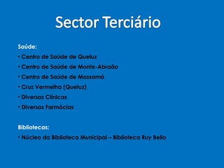 Saúde: Centro de Saúde de Queluz Centro de Saúde de Monte-Abraão Centro de Saúde de Massamá Cruz Vermelha (Queluz) Diversas Clínicas Diversas Farmácias Bibliotecas: Núcleo da Biblioteca Municipal – Biblioteca Ruy Bello 