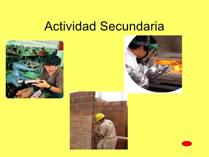 Actividades Economicas De Chile