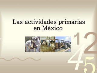 Las actividades primarias en México   