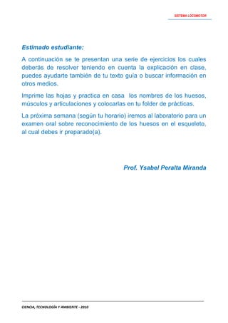 Actividades   sistema locomotor