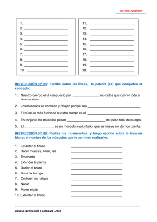 Actividades   sistema locomotor