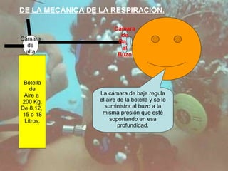DE LA MECÁNICA DE LA RESPIRACIÓN. Botella de Aire a  200 Kg. De 8,12,  15 o 18 Litros. Cámara de alta Cámara de Baja al Buzo La cámara de baja regula el aire de la botella y se lo suministra al buzo a la misma presión que esté soportando en esa profundidad. 