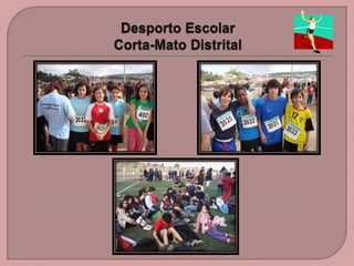 Desporto Escolar Corta-Mato Distrital