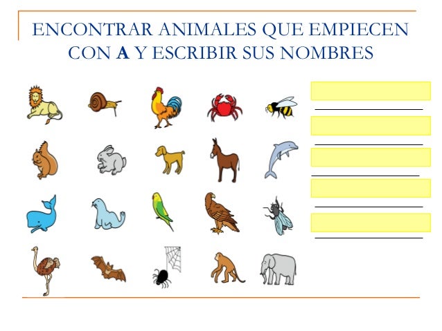 Animales Que Empiecen Con O Imagui