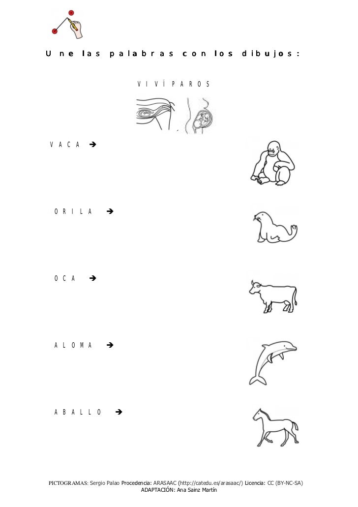 Actividades Animales