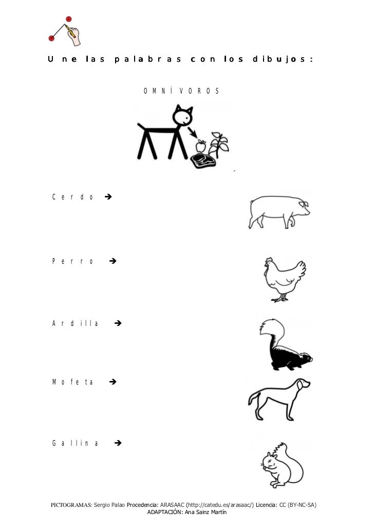 Actividades Animales