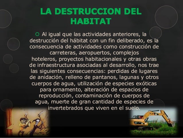 Actividades antropogenicas