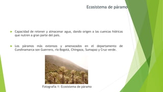  Capacidad de retener y almacenar agua, dando origen a las cuencas hídricas
que nutren a gran parte del país.
 Los páramos más extensos y amenazados en el departamento de
Cundinamarca son Guerrero, río Bogotá, Chingaza, Sumapaz y Cruz verde.
Ecosistema de páramo
Fotografía 1: Ecosistema de páramo
 
