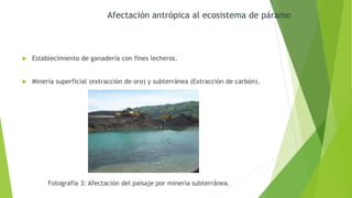  Establecimiento de ganadería con fines lecheros.
 Minería superficial (extracción de oro) y subterránea (Extracción de carbón).
Afectación antrópica al ecosistema de páramo
Fotografía 3: Afectación del paisaje por minería subterránea.
 