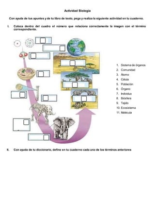 Actividad Biología
Con ayuda de tus apuntes y de tu libro de texto, pega y realiza la siguiente actividad en tu cuaderno.
I. Coloca dentro del cuadro el número que relaciona correctamente la imagen con el término
correspondiente.
1. Sistema de órganos
2. Comunidad
3. Átomo
4. Célula
5. Población
6. Órgano
7. Individuo
8. Biósfera
9. Tejido
10. Ecosistema
11. Molécula
II. Con ayuda de tu diccionario, define en tu cuaderno cada uno de los términos anteriores
 