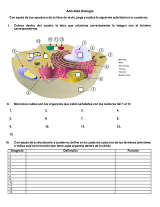 Actividad Biología
Con ayuda de tus apuntes y de tu libro de texto, pega y realiza la siguiente actividad en tu cuaderno.
I. Coloca dentro del cuadro la letra que relaciona correctamente la imagen con el término
correspondiente.
Mitocondria
Núcleo
Aparto de Golgi
Centriolos
Citoplasma
Membrana celular
II. Menciona cuáles son los organelos que están señalados con los números del 1 al 13
1. 2. 3. 4.
5. 6. 7. 8.
9. 10. 11. 12.
13.
III. Con ayuda de tu diccionario y cuaderno, define en tu cuaderno cada uno de los términos anteriores
e indica cuál es la función que tiene cada organelo dentro de la célula
Oragnelo Definición Función
1.
2.
3.
4.
5.
6.
7.
8.
9.
10.
11.
12.
13.
 