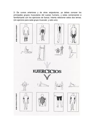 2- De cursos anteriores y de otras asignaturas, ya debes conocer los
principales grupos musculares del cuerpo humano, y estas comenzando a
familiarizarte con los ejercicios de fuerza. Intenta relacionar estos dos temas.
(Un ejercicio para cada grupo muscular, y solo uno).
 