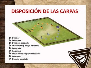 DISPOSICIÓN DE LAS CARPAS
 