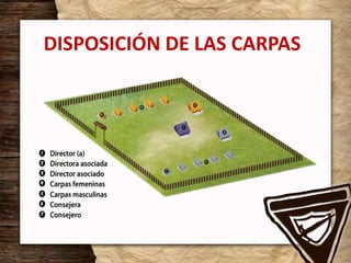 DISPOSICIÓN DE LAS CARPAS
 