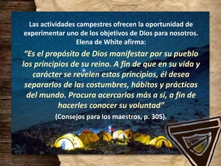 Las actividades campestres ofrecen la oportunidad de
experimentar uno de los objetivos de Dios para nosotros.
Elena de White afirma:
“Es el propósito de Dios manifestar por su pueblo
los principios de su reino. A fin de que en su vida y
carácter se revelen estos principios, él desea
separarlos de las costumbres, hábitos y prácticas
del mundo. Procura acercarlos más a sí, a fin de
hacerles conocer su voluntad”
(Consejos para los maestros, p. 305).
 
