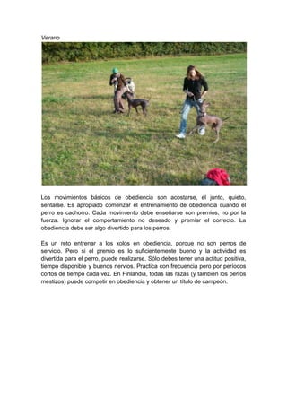 Actividades Con Xolos