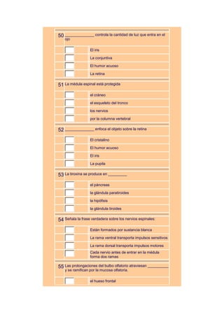 50 ______________ controla la cantidad de luz que entra en el
   ojo

                  El iris

                  La conjuntiva

                  El humor acuoso

                  La retina


51 La médula espinal está protegida
                  el cráneo

                  el esqueleto del tronco

                  los nervios

                  por la columna vertebral


52 ______________ enfoca el objeto sobre la retina
                  El cristalino

                  El humor acuoso

                  El iris

                  La pupila


53 La tiroxina se produce en _________
                  el páncreas

                  la glándula paratiroides

                  la hipófisis

                  la glándula tiroides


54 Señala la frase verdadera sobre los nervios espinales:
                  Están formados por sustancia blanca

                  La rama ventral transporta impulsos sensitivos

                  La rama dorsal transporta impulsos motores
                  Cada nervio antes de entrar en la médula
                  forma dos ramas

55 Las prolongaciones del bulbo olfatorio atraviesan __________
   y se ramifican por la mucosa olfatoria.

                  el hueso frontal
 