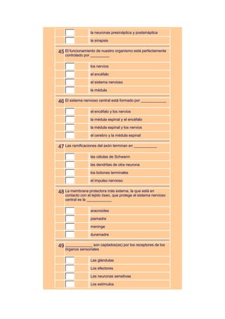 la neuronas presináptica y postsináptica

                  la sinapsis


45 El funcionamiento de nuestro organismo está perfectamente
   controlado por _________

                  los nervios

                  el encéfalo

                  el sistema nervioso

                  la médula


46 El sistema nervioso central está formado por ____________
                  el encéfalo y los nervios

                  la médula espinal y el encéfalo

                  la médula espinal y los nervios

                  el cerebro y la médula espinal


47 Las ramificaciones del axón terminan en ___________
                  las células de Schwann

                  las dendritas de otra neurona

                  los botones terminales

                  el impulso nervioso


48 La membrana protectora más externa, la que está en
   contacto con el tejido óseo, que protege el sistema nervioso
   central es la ____________

                  aracnoides

                  piamadre

                  meninge

                  duramadre


49 _____________ son captados(as) por los receptores de los
   órganos sensoriales

                  Las glándulas

                  Los efectores

                  Las neuronas sensitivas

                  Los estímulos
 