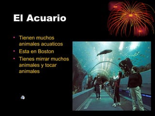 El Acuario
• Tienen muchos
  animales acuaticos
• Esta en Boston
• Tienes mirrar muchos
  animales y tocar
  animales
 