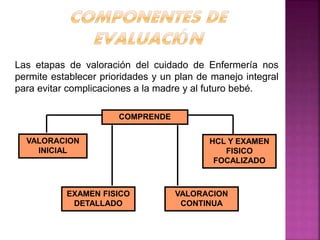 Las etapas de valoración del cuidado de Enfermería nos
permite establecer prioridades y un plan de manejo integral
para ev...