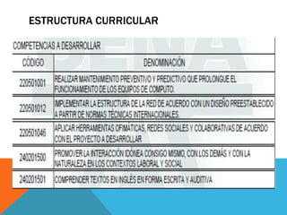 ESTRUCTURA CURRICULAR