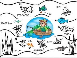MAR
RIO

PESCADOR

ATARRAYA

PESCA

BARCO

CUCHA

ANZUELOS

 