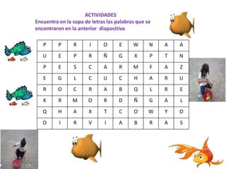 ACTIVIDADES
Encuentra en la sopa de letras las palabras que se
encontraron en la anterior diapositiva
P

P

R

I

O

E

W

N

A

A

U

E

P

R

Ñ

G

X

P

T

N

P

E

S

C

A

R

M

F

A

Z

E

G

L

C

U

C

H

A

R

U

R

O

C

R

A

B

Q

L

R

E

K

R

M

O

R

D

Ñ

G

A

L

Q

H

A

X

T

C

O

W

Y

O

O

I

R

V

I

A

B

R

A

S

 