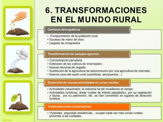 6. TRANSFORMACIONES
EN EL MUNDO RURAL
 