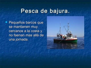 Pesca de bajura.
   Pequeños barcos que
    se mantienen muy
    cercanos a la costa y
    no faenan mas allá de
    una jornada.
 