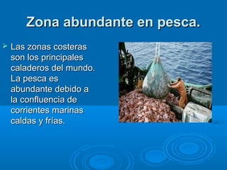 Zona abundante en pesca.
   Las zonas costeras
    son los principales
    caladeros del mundo.
    La pesca es
    abundante debido a
    la confluencia de
    corrientes marinas
    caldas y frías.
 