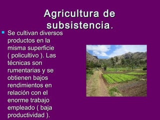 Agricultura de
                 subsistencia .
   Se cultivan diversos
    productos en la
    misma superficie
    ( policultivo ). Las
    técnicas son
    rumentarias y se
    obtienen bajos
    rendimientos en
    relación con el
    enorme trabajo
    empleado ( baja
    productividad ).
 