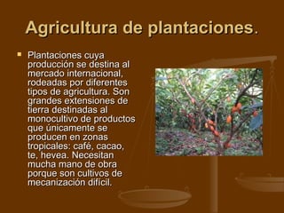 Agricultura de plantaciones.
   Plantaciones cuya
    producción se destina al
    mercado internacional,
    rodeadas por diferentes
    tipos de agricultura. Son
    grandes extensiones de
    tierra destinadas al
    monocultivo de productos
    que únicamente se
    producen en zonas
    tropicales: café, cacao,
    te, hevea. Necesitan
    mucha mano de obra
    porque son cultivos de
    mecanización difícil.
 