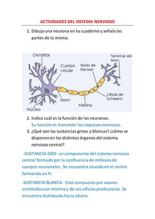 ACTIVIDADES DEL SISTEMA NERVIOSO
1. Dibujauna neurona en tu cuaderno y señala las
partes de la misma.
2. Indica cuál es la función de las neuronas.
Su función es transmitir los impulsosnerviosos
3. ¿Qué son las sustancias grises y blancas? ¿cómo se
disponenen los distintos órganos del sistema
nervioso central?
-SUSTANCIA GRIS: un componente del sistema nervioso
central formado por la confluenciade millones de
cuerpos neuronales . Se encuentra situado en el centro
formando un H.
-SUSTANCIA BLANCA: Está compuesta por axones
enrolladoscon mielinay de sus célulasproductoras. Se
encuentra distribuidahacia afuera.
 