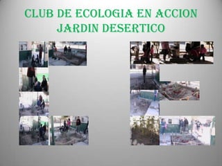 CLUB DE ECOLOGIA EN ACCIONJARDIN DESERTICO