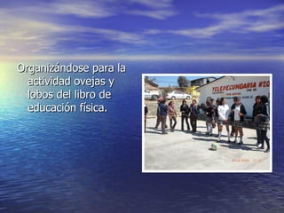 Organizándose para la actividad ovejas y lobos del libro de educación física. 