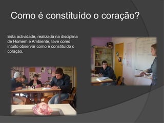 Como é constituído o coração?Esta actividade, realizada na disciplina de Homem e Ambiente, teve como intuito observar como é constituído o coração. 