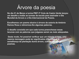 Árvore da poesiaNo dia 21 de Março a turma PIEF 2º Ciclo de Castro Verde lançou um desafio a todas as turmas da escola para assinalar o Dia Mundial da Árvore e o Dia Internacional da Poesia. Escolhemos um poema alusivo à árvore da autoria de António Ramos Rosa e retirarmos-lhe algumas palavras. O desafio consistia em que cada turma preenchesse essas lacunas com as palavras que julgasse serem as mais adequadas.Deste modo, foi possível verificar que um mesmo poema, uma mesma mensagem pode ter significados diferentes e, à semelhança da plantação duma árvore, cultivámos novos poemas.