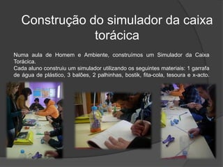 Construção do simulador da caixa torácicaNuma aula de Homem e Ambiente, construímos um Simulador da Caixa Torácica. Cada aluno construiu um simulador utilizando os seguintes materiais: 1 garrafa de água de plástico, 3 balões, 2 palhinhas, bostik, fita-cola, tesoura e x-acto.