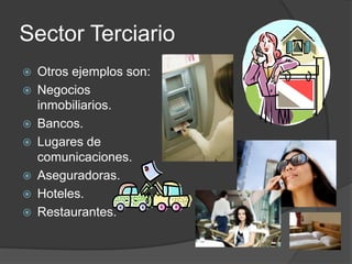 Sector Terciario
   Otros ejemplos son:
   Negocios
    inmobiliarios.
   Bancos.
   Lugares de
    comunicaciones.
   Aseguradoras.
   Hoteles.
   Restaurantes.
 