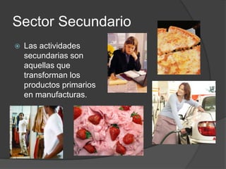 Sector Secundario
   Las actividades
    secundarias son
    aquellas que
    transforman los
    productos primarios
    en manufacturas.
 