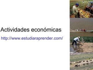 Actividades económicas
http://www.estudiaraprender.com/
 