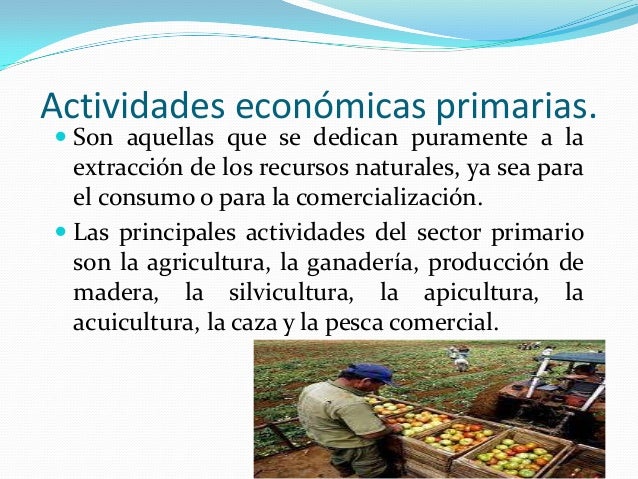 ¿Cuáles Son Las Actividades Económicas De Portugal – WMQBF