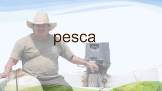pesca
 